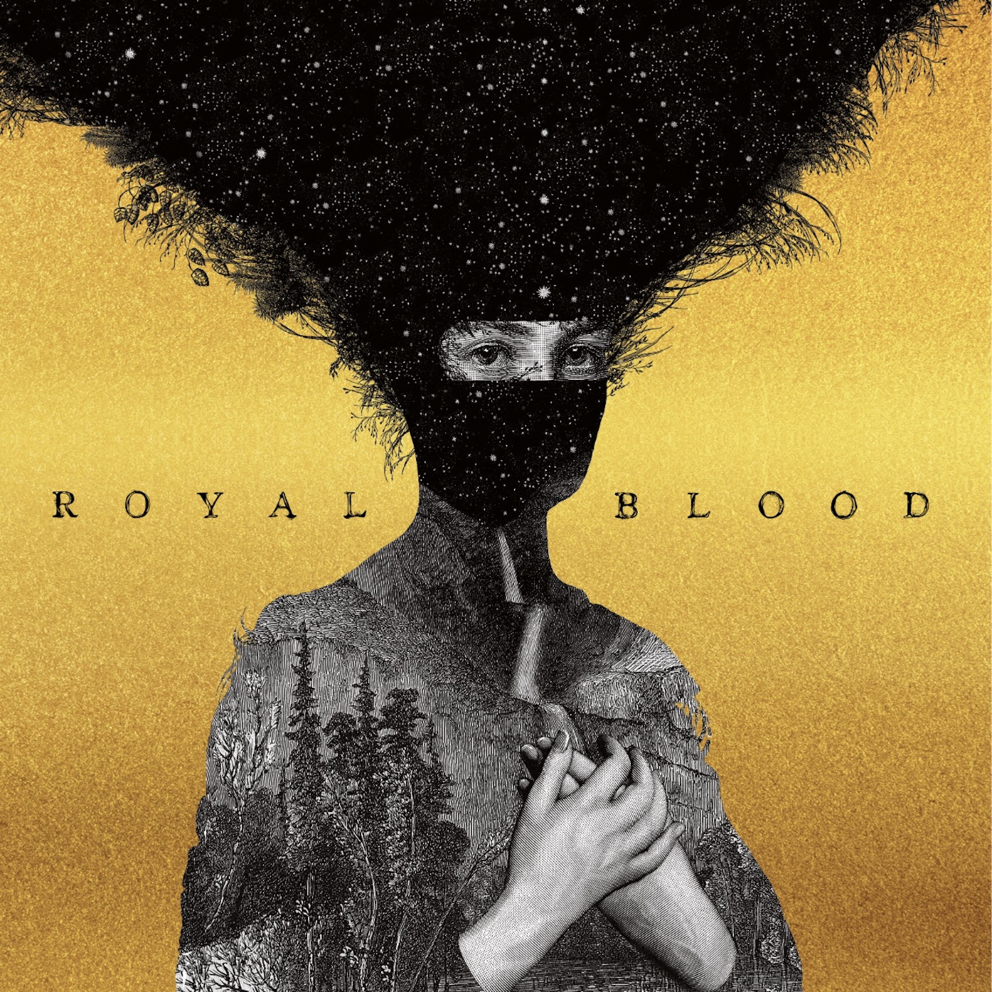 Royal Blood self-titled album artwork for 10th anniversary