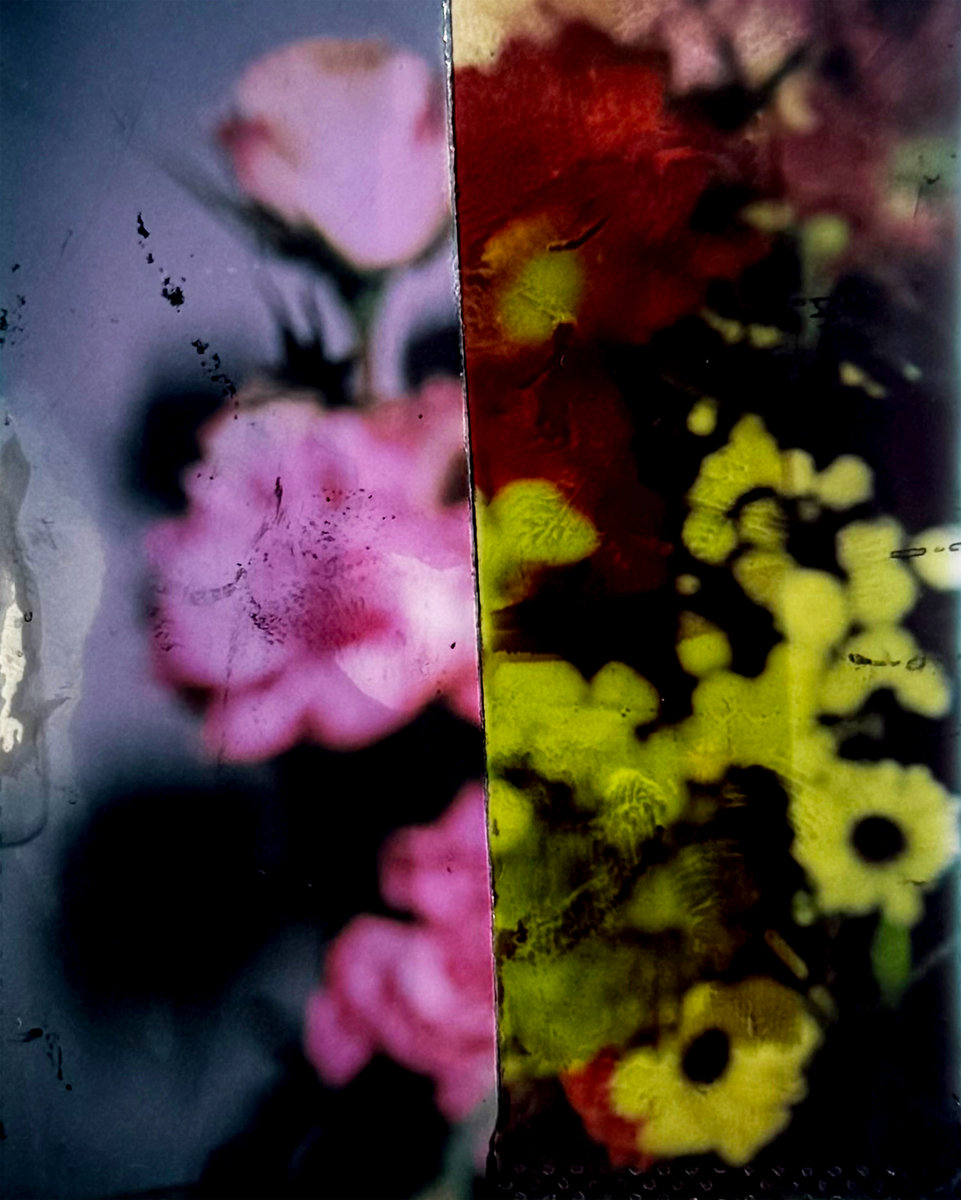 Welcome Strawberry Share Surprise New EP 'Floral Arrangements'